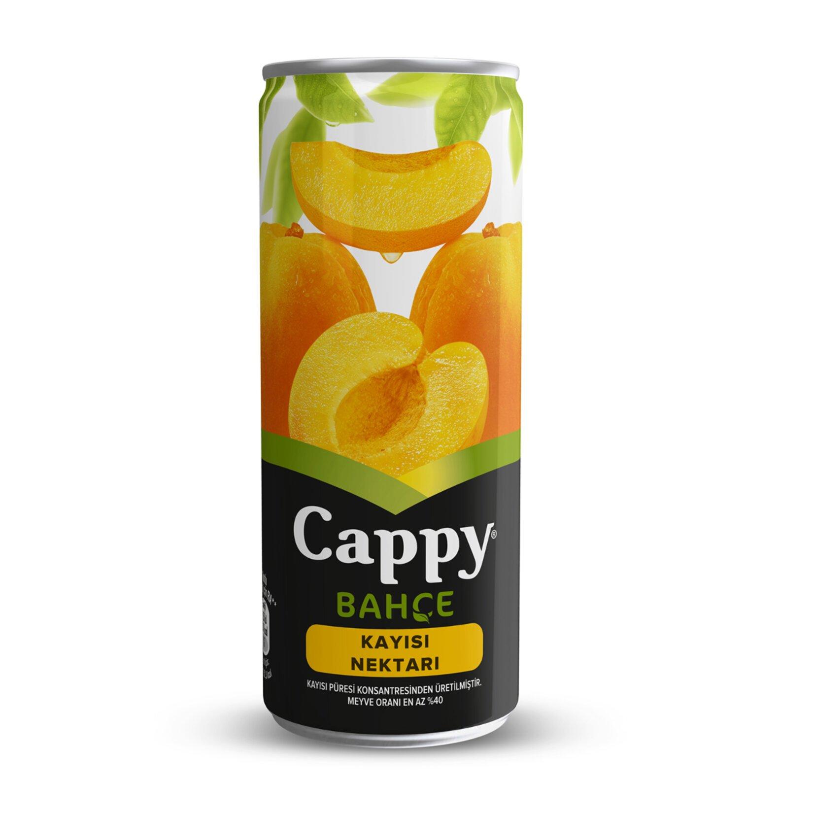 CAPPY KAYISI 330ML